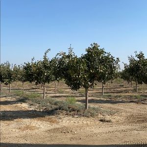 Meet your Posher, Wayne